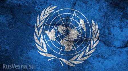 В России ответили на предложение Украины отменить право вето в Совбезе ООН