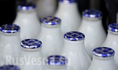 Цены на молоко могут вырасти на 10-15%