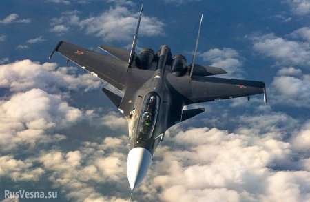 Не жилец: в США посмеялись над шансами шведского истребителя против Су-30