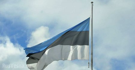 Эстонию попросили исключить из ООН из-за русского языка