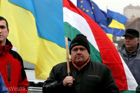 Венгрию заселяют «легко интегрирующиеся» украинцы