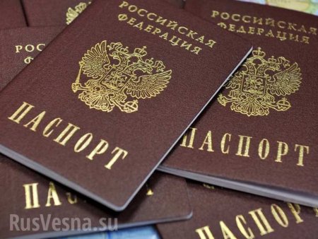 В Госдуме призвали отменить пошлины за получение российских паспортов для жителей Донбасса