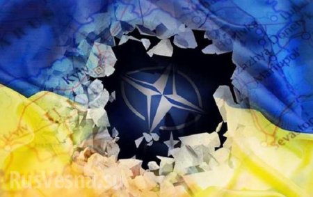 На Украине заявили, что готовы воровать у НАТО
