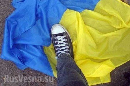 «Российские военные издеваются!» — в «незалежной» истерика из-за украинского флага на позициях защитников Донбасса (ФОТО, ВИДЕО)