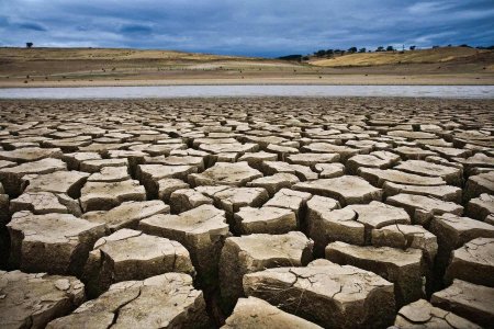Власти Чехии сообщили о катастрофической засухе
