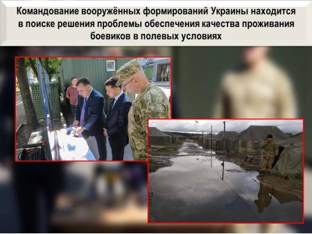 Ответом Армии ДНР убиты и ранены 14 боевиков ВСУ: сводка с Донбасса