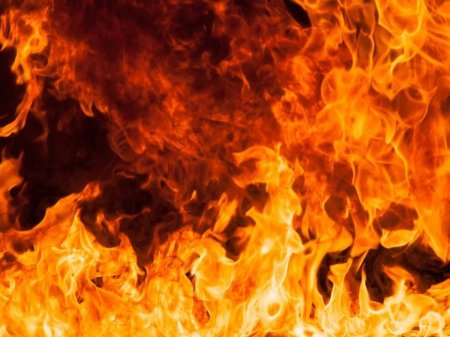 Страшные пожары на Луганщине: сгорел КПП, растёт число погибших (ФОТО, ВИДЕО)