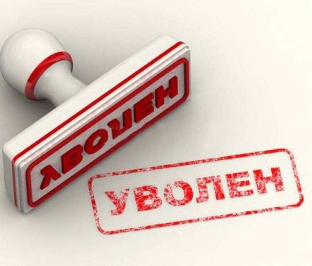 В России уволена министр, жаловавшаяся на «токсичных людей и сброд» (ФОТО) | Русская весна