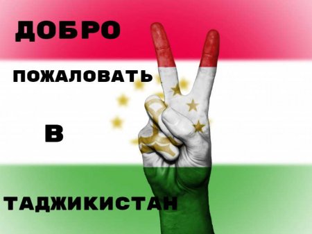 «Полиция» на коленях: дурно пахнущая выходка таджикского блогера (ФОТО)