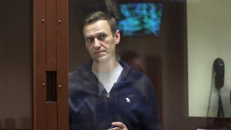 Находят «юных буратин»: Носиков о реакции либералов на новое уголовное дело против Навального