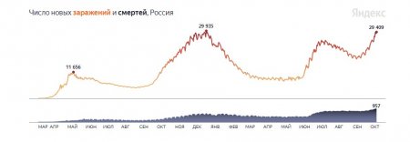 7,8 млн заражений: коронавирус в России