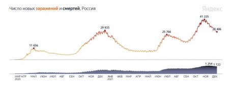 Число жертв приближается к 300 тысячам: коронавирус в России