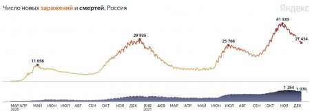 Число заражений продолжает снижаться: коронавирус в России