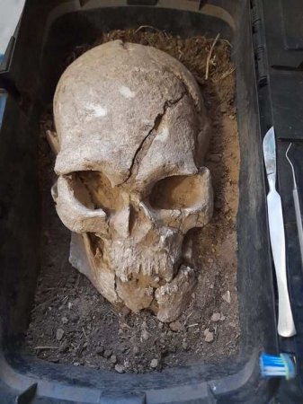 «Далёкий предок»: археологи нашли древнего украинца (ФОТО)