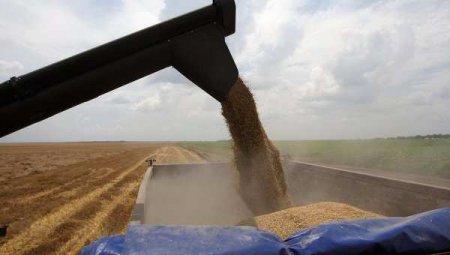 WSJ раскрыл подробности сделки по вывозу украинского зерна