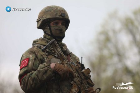 Спецназ уничтожает врага на Украине: кадры боевой работы (ВИДЕО)