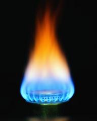 Газпром установил рекорд суточных поставок газа по РФ для ноября