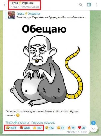 Украинские медиаресурсы: Канцлер Шольц — крыса (ФОТО)
