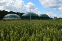 Total Energies покупает основного производителя биогаза в Польше
