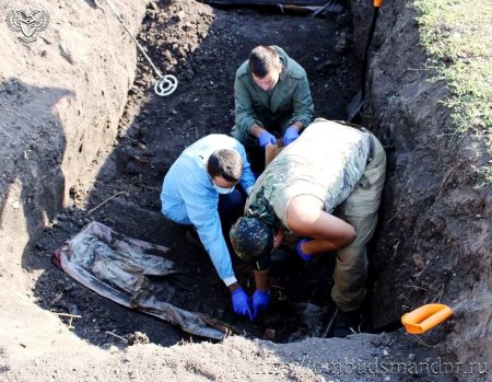 Следователи СК РФ извлекли из братской могилы в ЛНР останки 46 жертв ВСУ