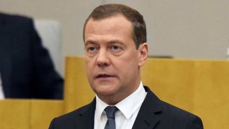 «Европа готова к череде гробов?» — Медведев