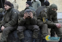 Стало известно, сколько солдат считаются на Украине пропавшими без вести