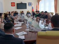 Представитель РЭС анонсировал комплекс профилактических мероприятий на совещании у детского омбудсмена Новосибирской области