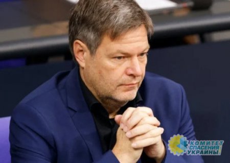 Вице-канцлер ФРГ вскрыл, сколько денег понадобится на восстановление Украины