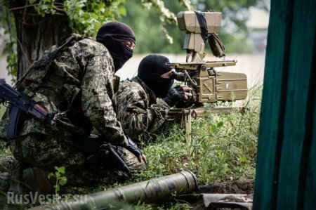 В засаду ополченцев в Запорожской области попали американские инструкторы