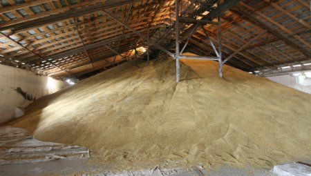 Минэкономразвития: Украина "потеряла" 250 тысяч тонн зерна
