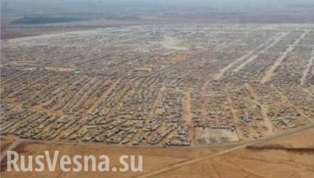 Катастрофическая ситуация с беженцами: кто стоит за спинами арабов и толкает их вперед? (ФОТО+ВИДЕО)