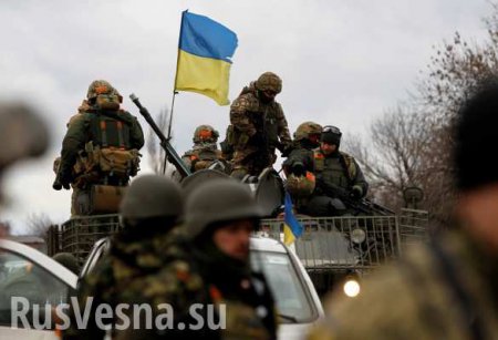 Киев перебросил в зону «АТО» дудаевцев, турецких и польских наемников — Народная милиция ЛНР