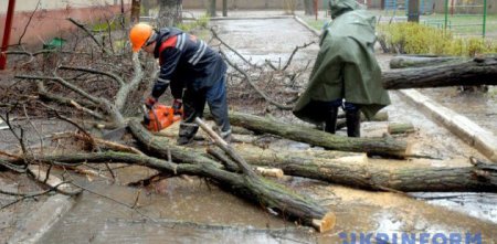 Непогода на Прикарпатье: погибла женщина