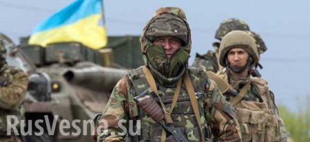 Киев занял недопустимую позицию, говоря о выборах в отрыве от мирного урегулирования в целом — МИД ДНР