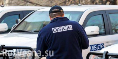 ОБСЕ выявила отсутствие в местах хранения 59 единиц техники ВСУ, — Народная милиция ЛНР