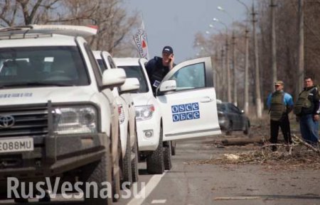 В ОБСЕ отказались принимать от ЛНР документы по отводу вооружений