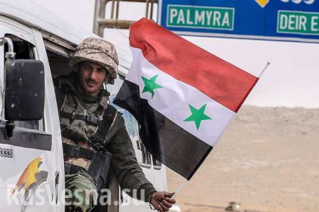 Освобожденная Пальмира: Российские военные, сброшенные флаги ИГИЛ и цветы на скалах — эксклюзив «Русской Весны» (ВИДЕО)