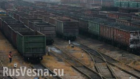 ВАЖНО: Киев объявил о новом порядке перемещения товаров через линию разграничения на Донбассе