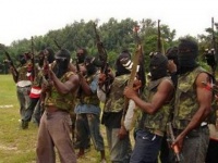 В Нигерии около 700 боевиков 