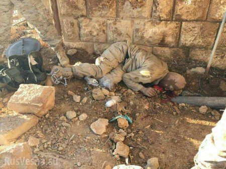 Жестокие кадры: «Элитные смертники» ИГИЛ уничтожены при контрударе к югу от Дейр Зор (ФОТО 18+)