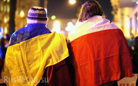 Из Польши массово депортируют украинцев