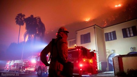 Лос-Анджелес в огне, Шварценеггер и звёзды Голливуда бегут из своих шикарных особняков (ФОТО, ВИДЕО)