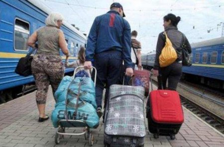 Мигрантов обяжут получать единый электронный документ для длительного пребывания в РФ | Русская весна
