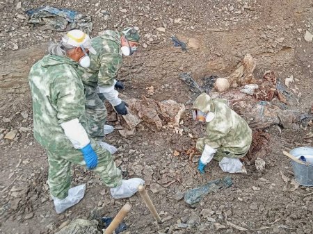 Из массового захоронения возле села Верхнешевыревка извлечены останки 36 по ...