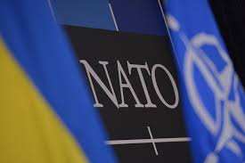 Украина в НАТО — это слишком рискованно, — американский эксперт